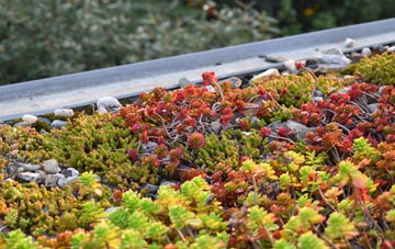 the cost of Aythorpe Roding green roof installation