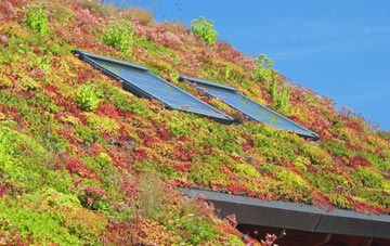Aythorpe Roding living roof systems