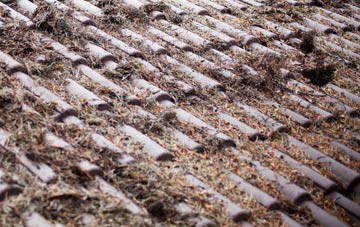 Aythorpe Roding roof cleaning companies