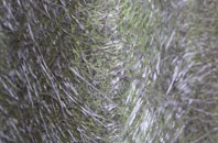 Aythorpe Roding fibreglass roof work